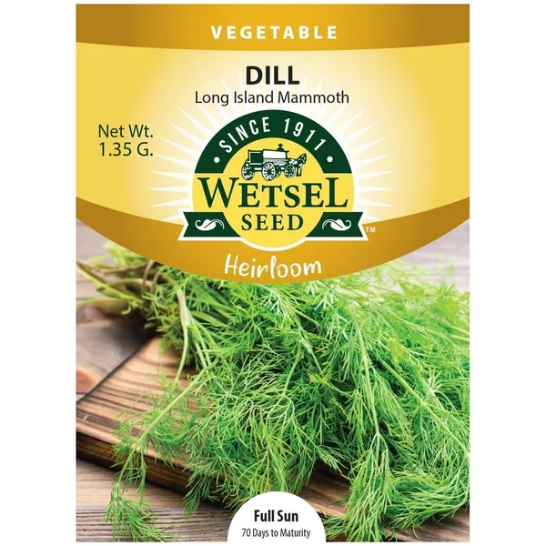 Dill, Heirloom Long Island 1.35 Grams