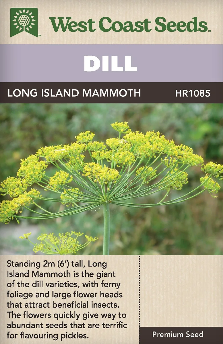 Dill, Long Island 1 - Image 2