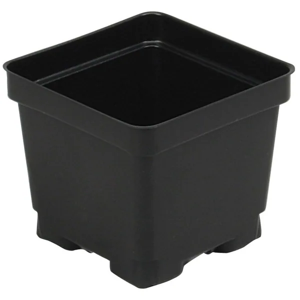 DLN 04.50 Dsqvp45pf Pot Blk (Case of 300)