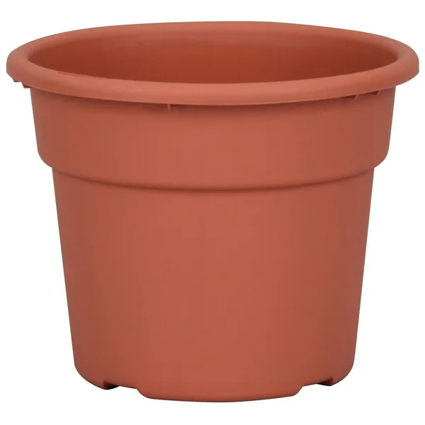 DLN 06.00 Color Pot Tl Cl Seasonal (Case of 98)