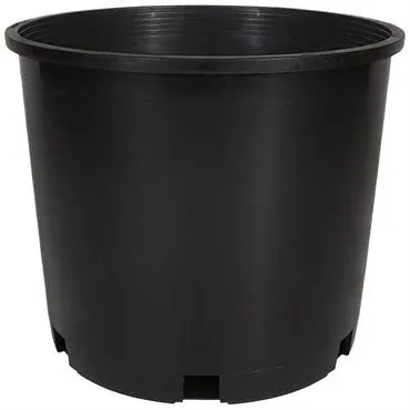 Dillen 6in Round Standard Thinwall Pot, Black (Case of 440)