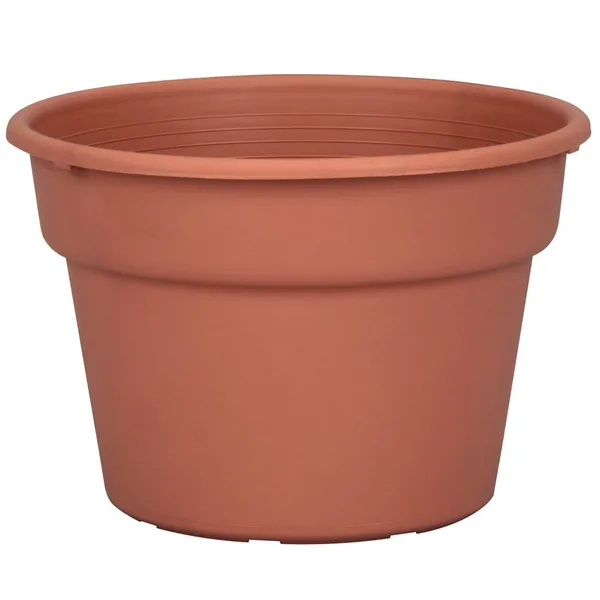 DLN 08.00 Color Pot Tl Cl (Case of 58)