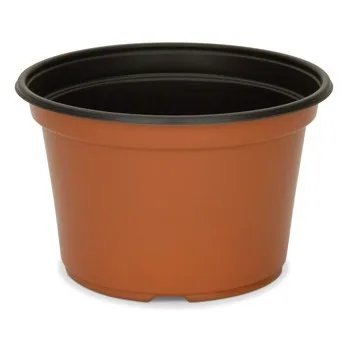 DLN 08.00x05.00 Mumpan Coex Tc/Blk (Case of 170)