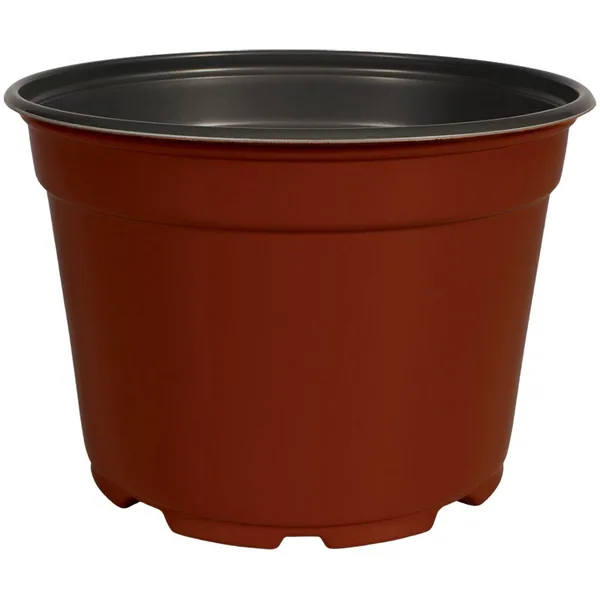 DLN 09.00x06.25 Mumpan Coex Tc/Blk (Case of 90)