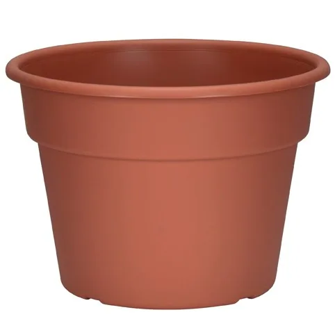 DLN 10.00 Color Pot 1 Cl (Case of 58)