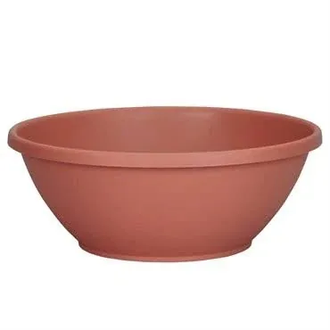 DLN 12.00 Color Bowl Cl (Case of 42)