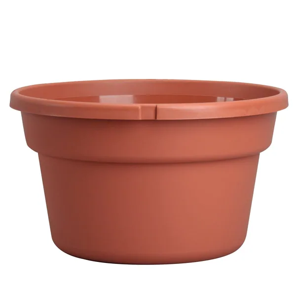 DLN 12.00 Sl Color Bskt Cl — Case of 25
