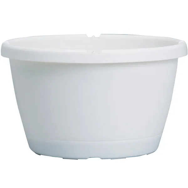 DLN 12.00 Trad Sl Hb No Hgr Wht — Case of 50