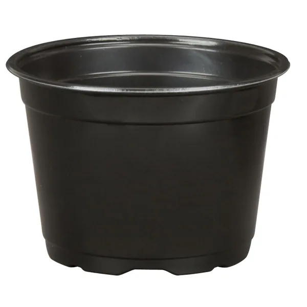 DLN 17.00 Cm Euro Pot Coex Short Blk /P (Case of 300)