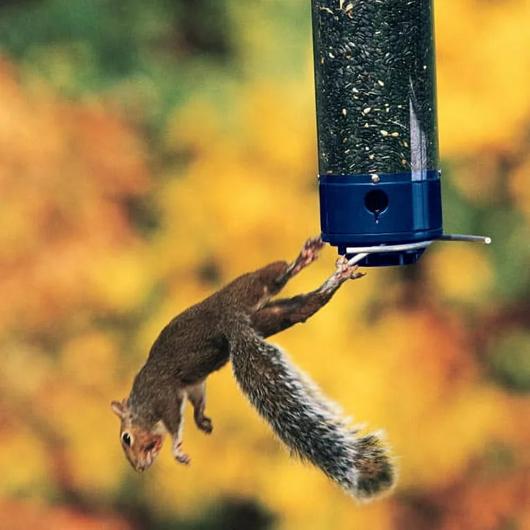 Droll Yankee 21" Whipper 4 Port Squirrel Proof Bird Feeder - Image 2