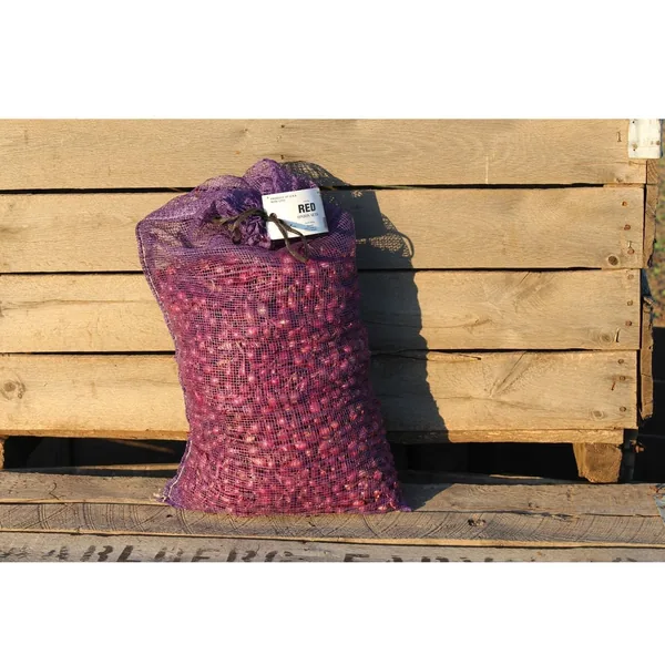 DVG Onion Sets Red BU 32 lbs