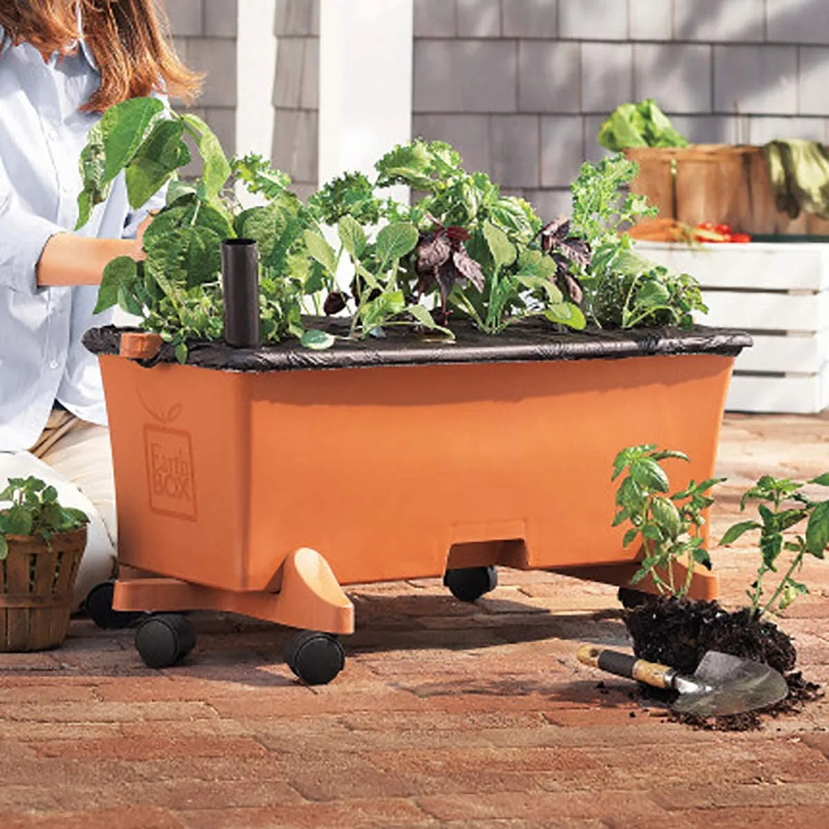 EarthBox Original Garden Kit Terra Standard 7-7-7 - Image 2