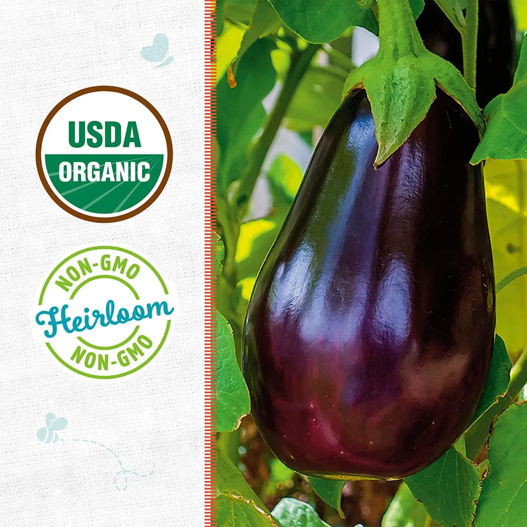 Eggplant, Black Beauty 1/2oz - Image 2