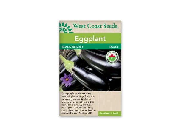 Eggplant, Black Beauty 1/2oz