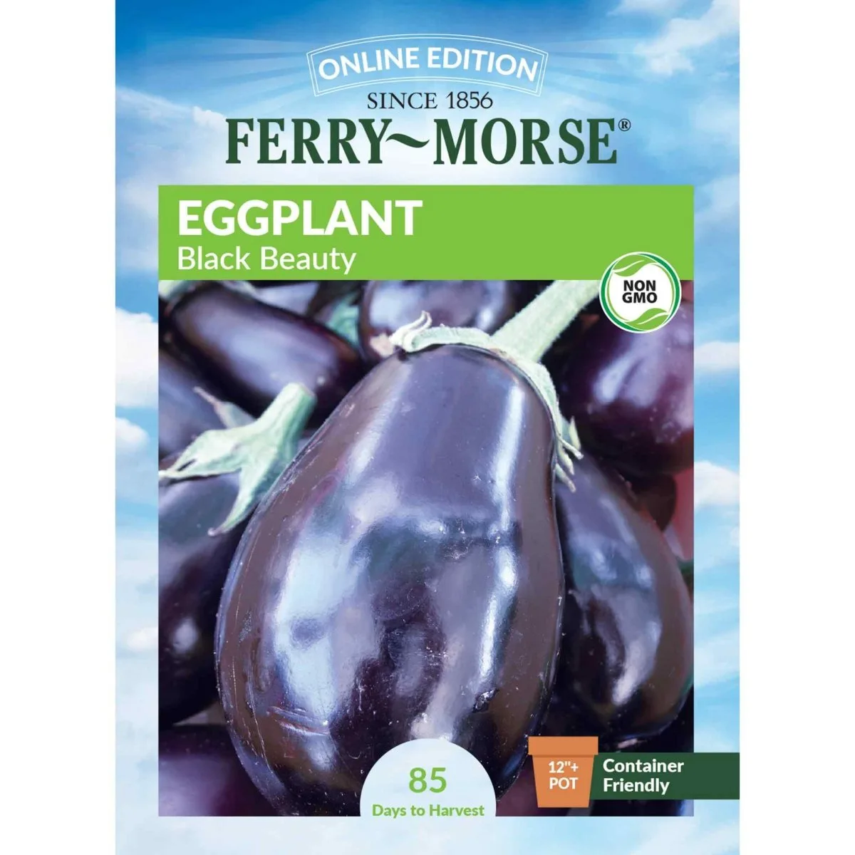 Eggplant, Black Beauty 400mg - Image 2