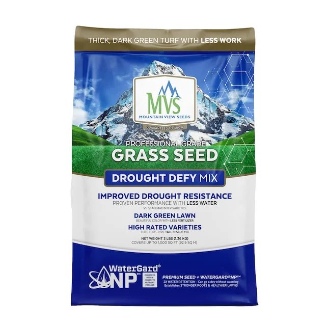Emerald Park 3 lbs Turf Type Fescue - Image 2