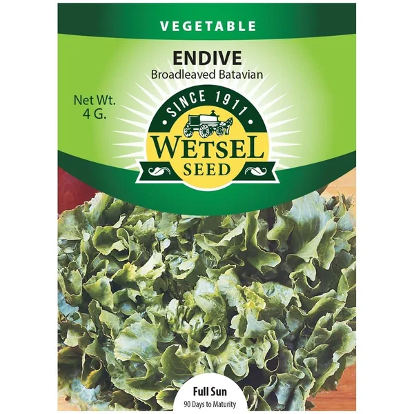Endive, Broad Leaf Batavian 4 Grams