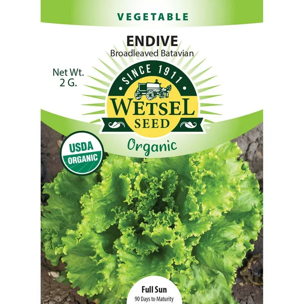 Endive, Organic Batavian 2 Grams - Image 2