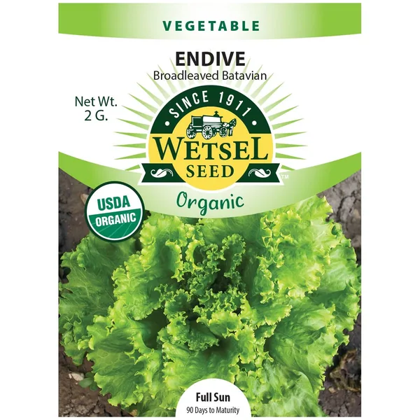 Endive, Organic Batavian 2 Grams