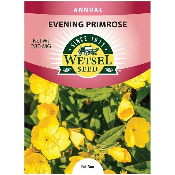 Evening Primrose 280mg - Image 2