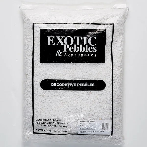 Exotic Pebbles 20 lbs White Bean Pebble 1/5"