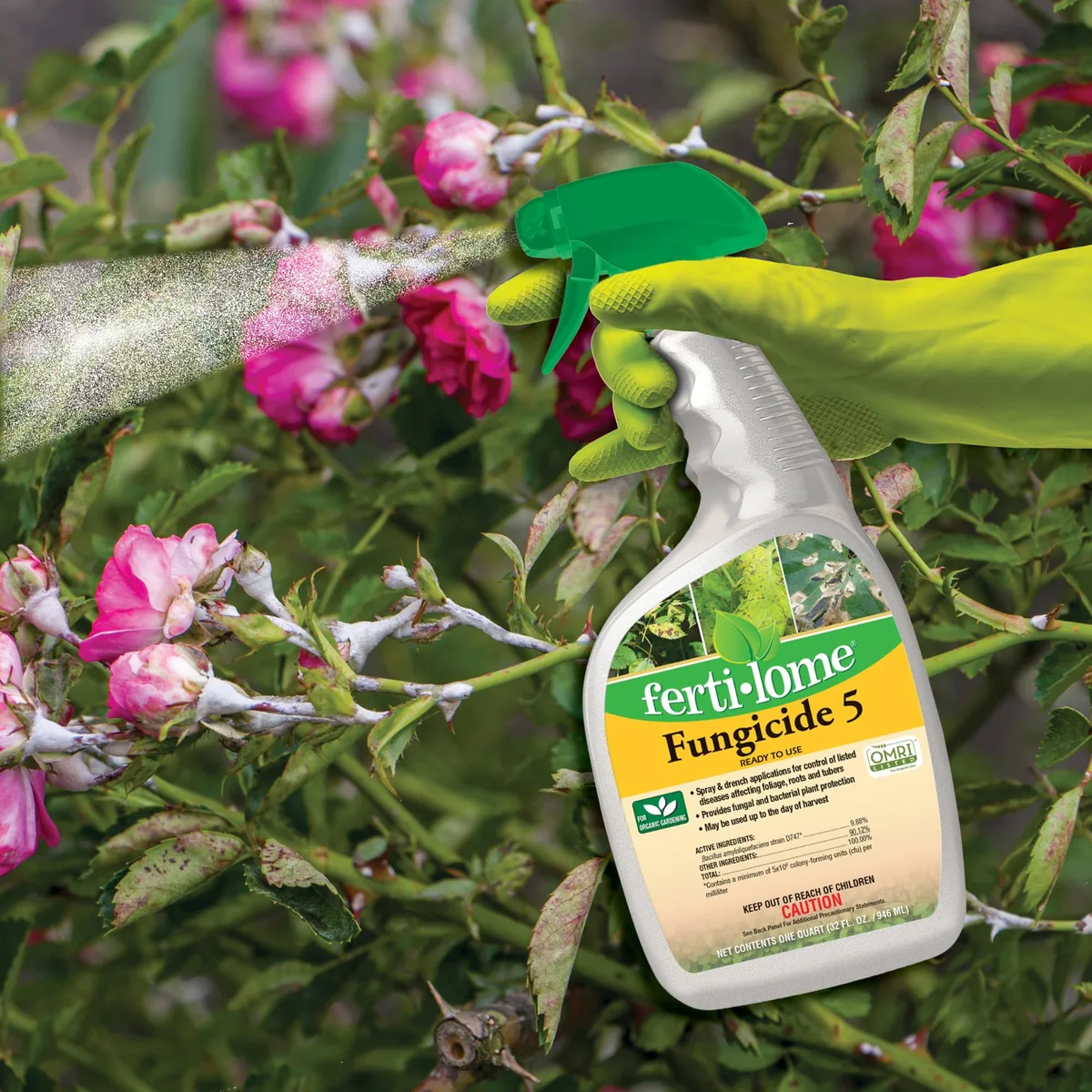 Fertilome 16oz Fungicide 5 - Image 2