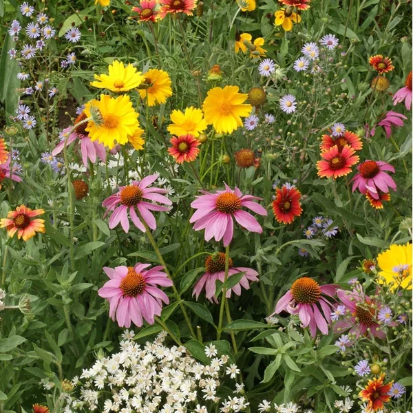 Flower Mix, Honey Bee 1/2oz