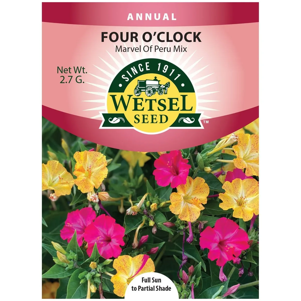 Four O'clock, Marvel of Peru 2.7 Grams - Image 2