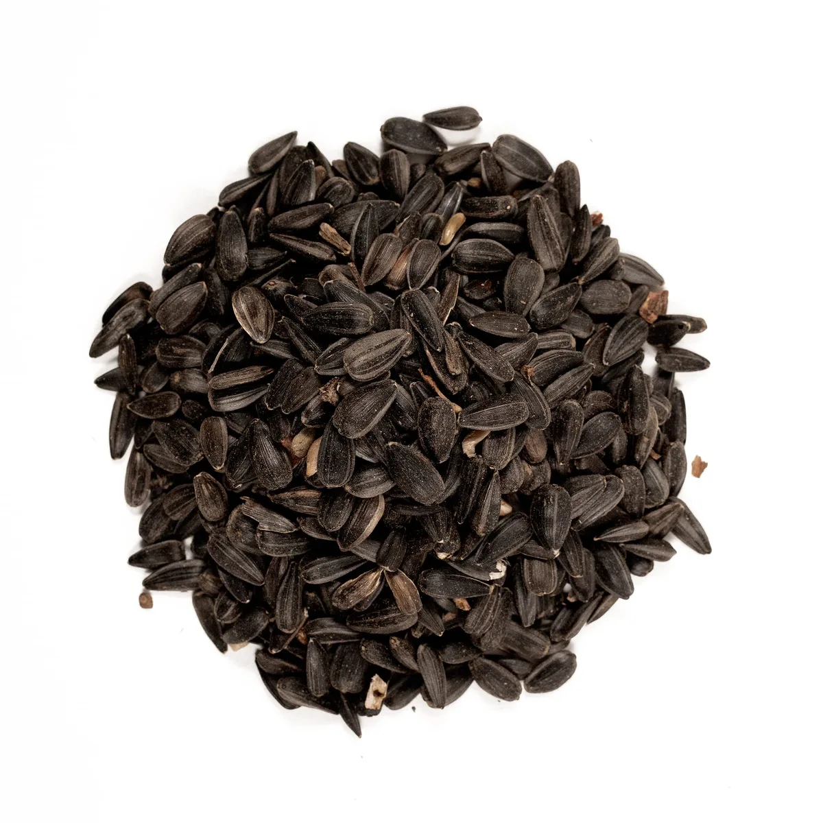 Friends of Flight 4 lbs Black Oil Sunflower - Image 2