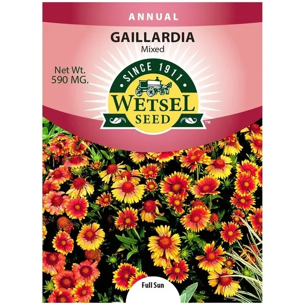 Gaillardia, Mixed 590mg - Image 2
