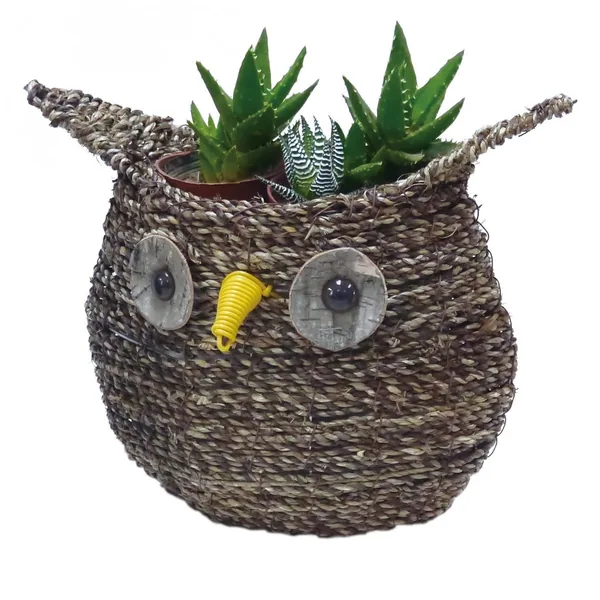 Gardener Select 10.5" Large Owl Rattan Rope Topiary