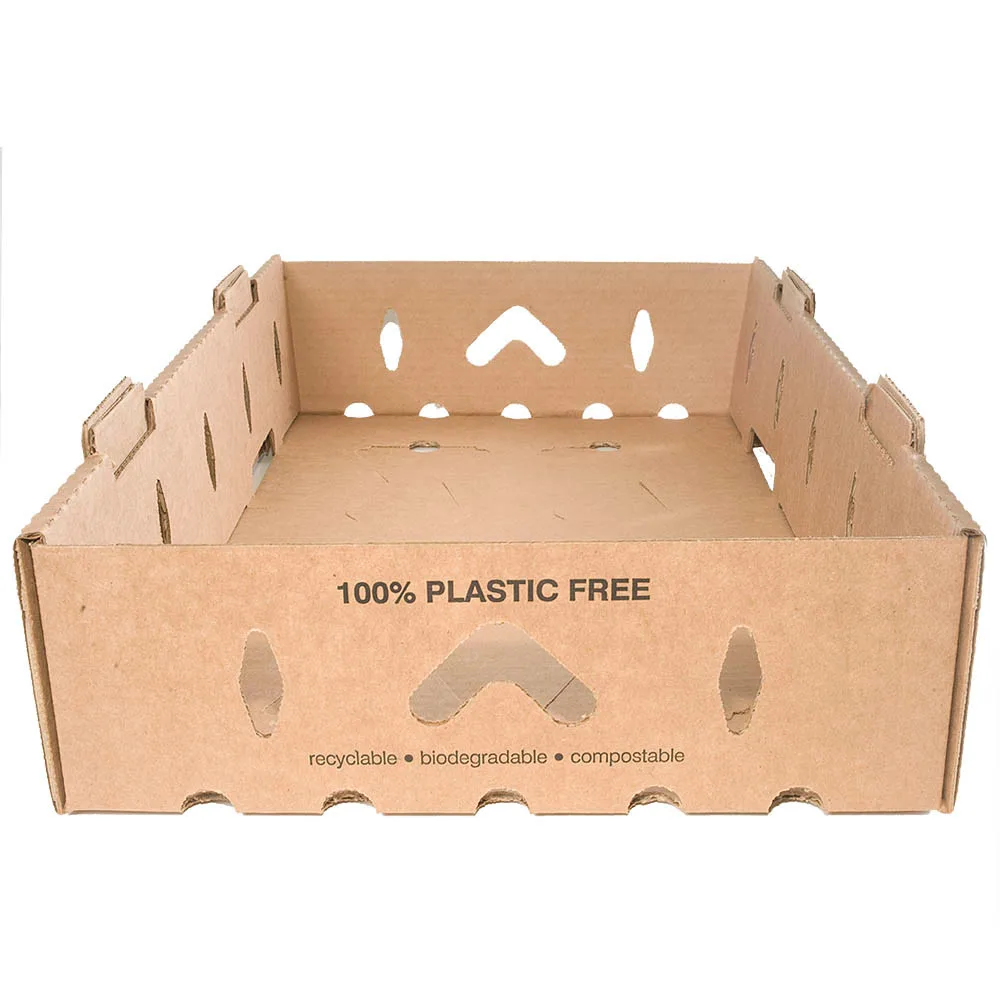 Gardener Select 18"x12"x2" Cardboard Carry Tray - Image 2
