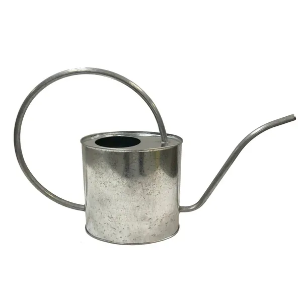 Gardener Select 2L Oval Watering Can Galvanized L16.9"xW4.3"xH9.8" Indoor - Image 2
