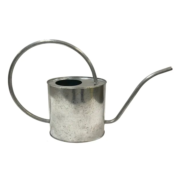 Gardener Select 2L Oval Watering Can Galvanized L16.9"xW4.3"xH9.8" Indoor