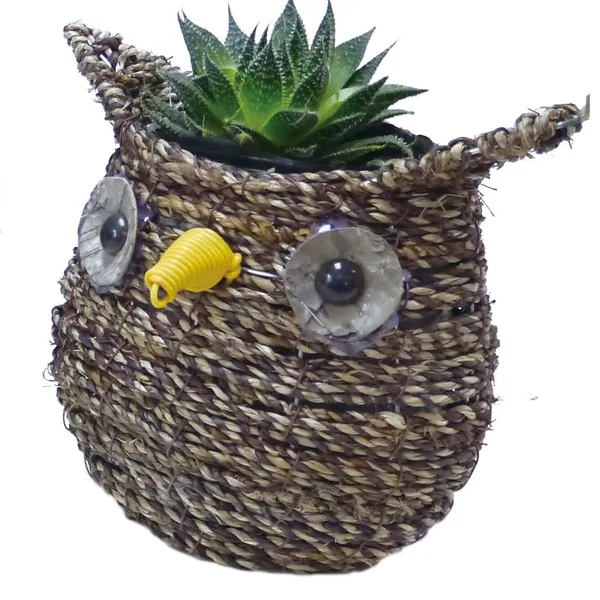 Gardener Select 7" Small Owl Rattan Rope Topiary