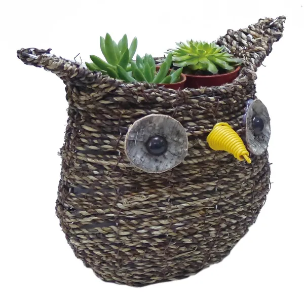 Gardener Select 9.5" Medium Owl Rattan Rope Topiary