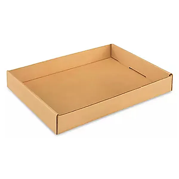 Gardener Select 9"x6"x2" Cardboard Carry Tray