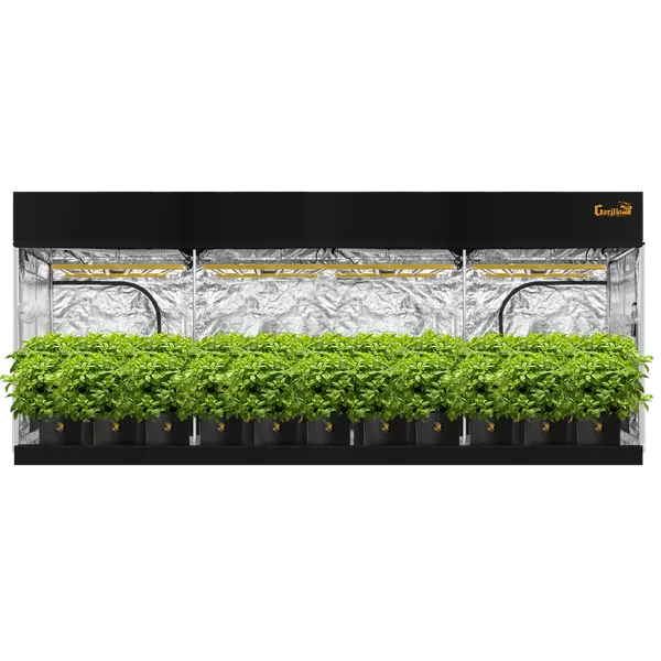 Gorilla Grow Tent 10x20 Pro
