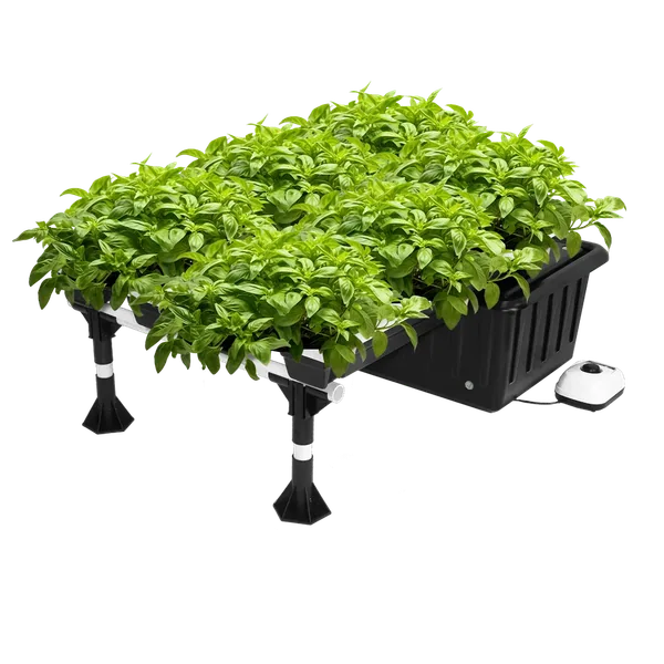 Ebb and Flow Hydroponic System – 20-Site