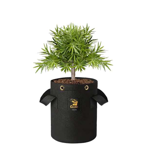 Gorilla 1 Gallon Grow Bag (4 Pack)