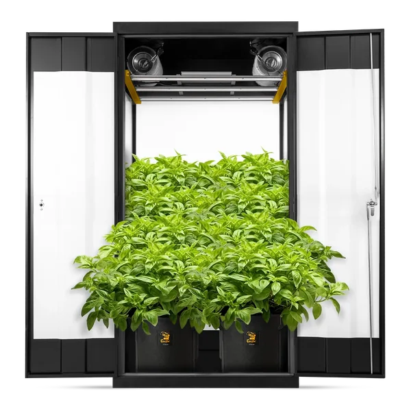Gorilla Grow Cabinet 36” x 24” x 72” - Soil