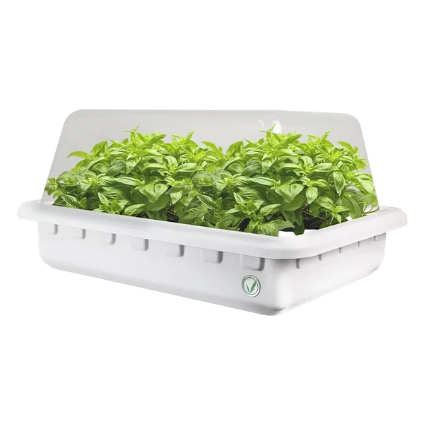 Hydroponic Cloner System - 50 Site