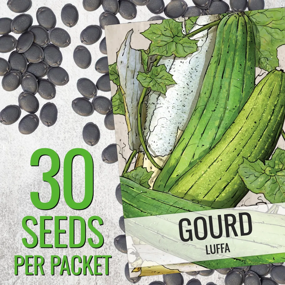Gourds, Luffa 2 Grams - Image 2