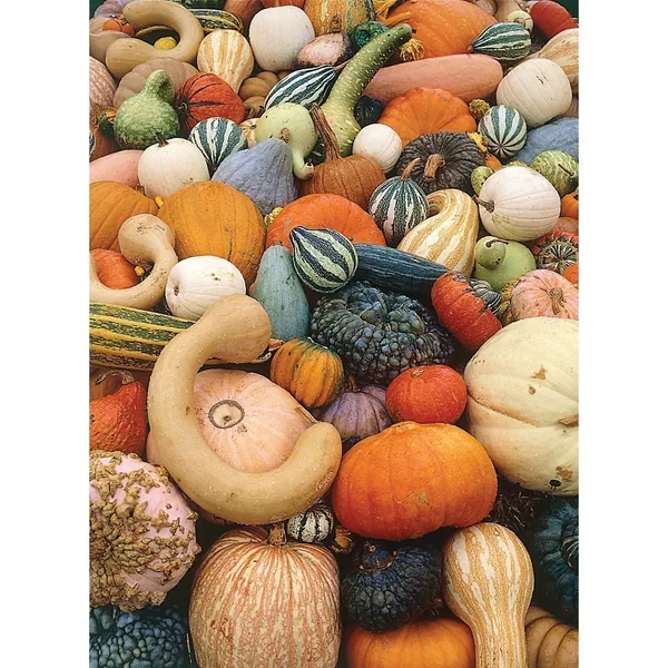 Gourds, Mixed 1