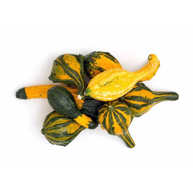 Gourds, Mixed Large Small 2 Grams - Image 2