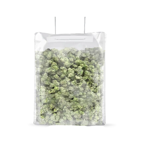 TerpLoc Terpy Bag - Single