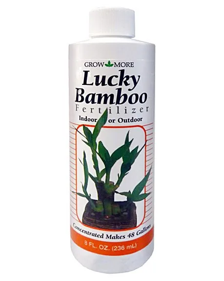 Grow More 2-2-2 Lucky Bamboo