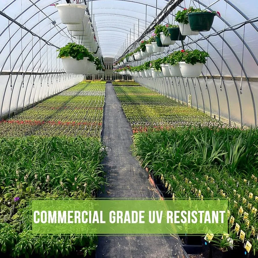 GROW1 Greenhouse Film 6mil 50ft x 150ft - Image 2