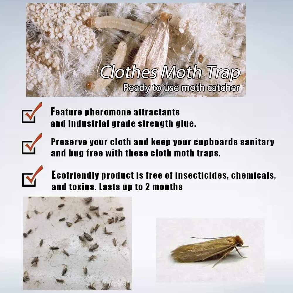 GROW1 Transparent Hanging Cone Moth Trap - Image 2