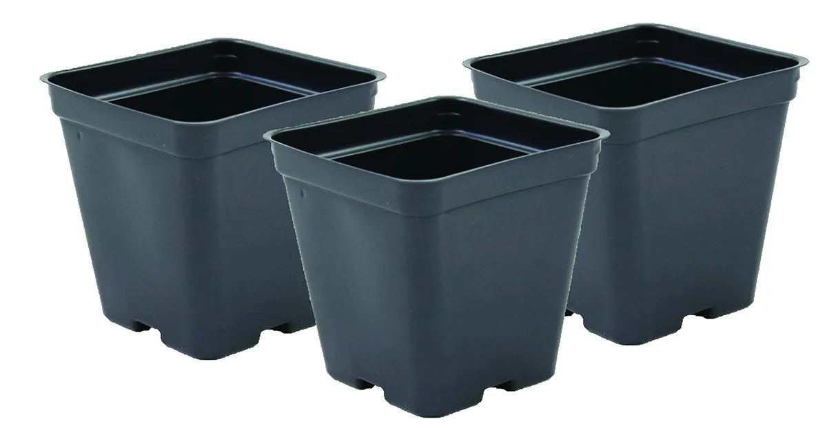Grower Select 03.50 Square Ps Vacuum Formed Pot Black - Image 2